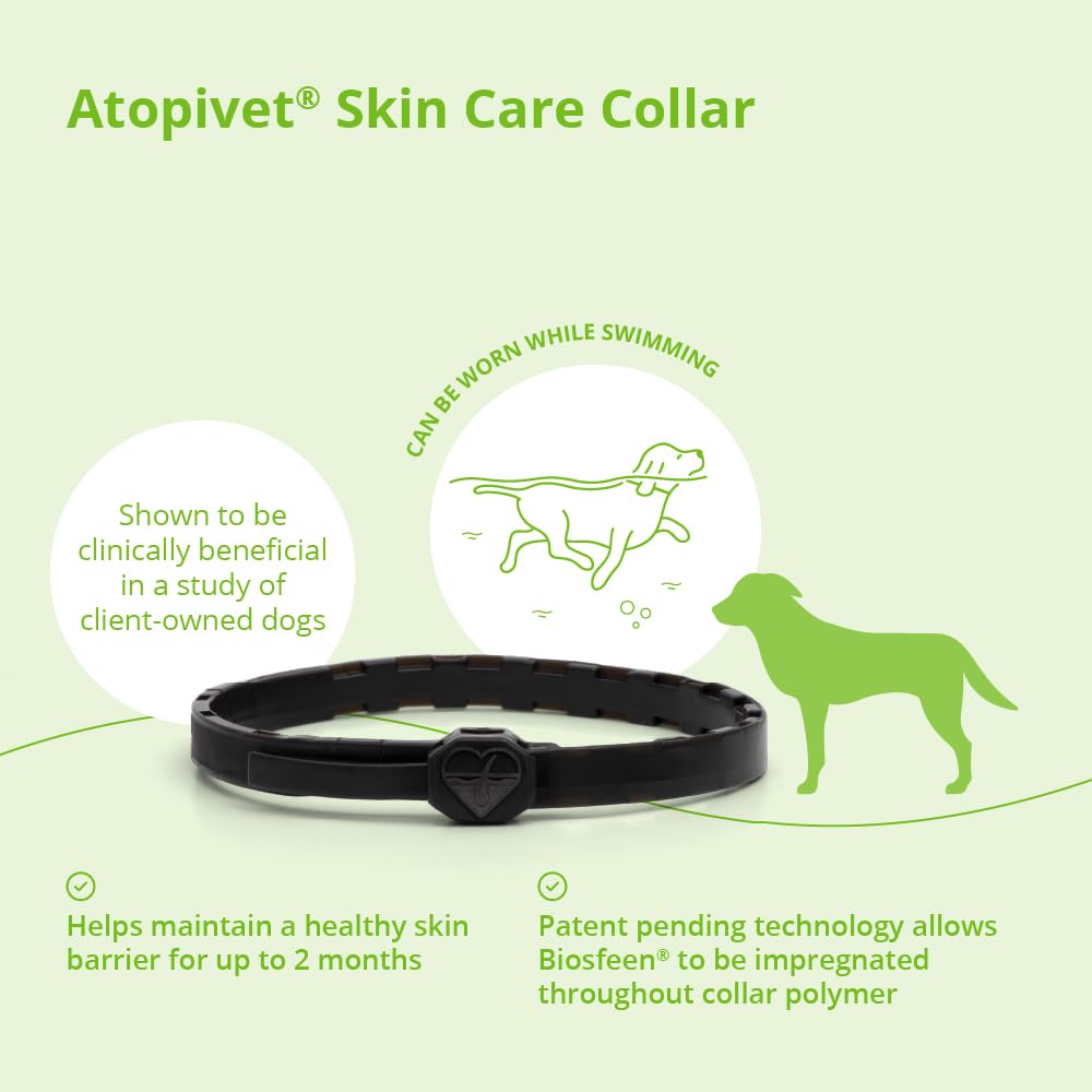 Dog Collar 29" A269