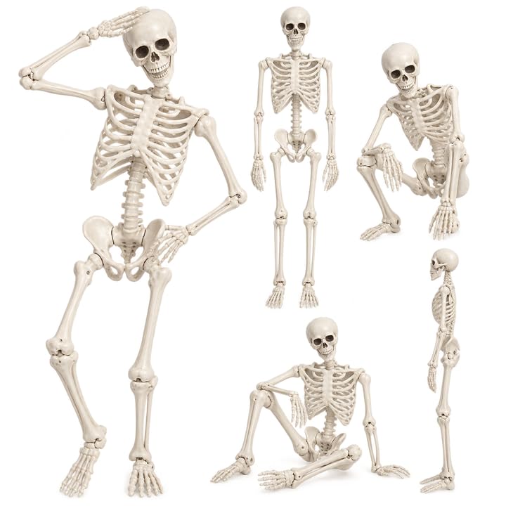 5.4FT Poseable Skeleton with Flexible Joints E8185