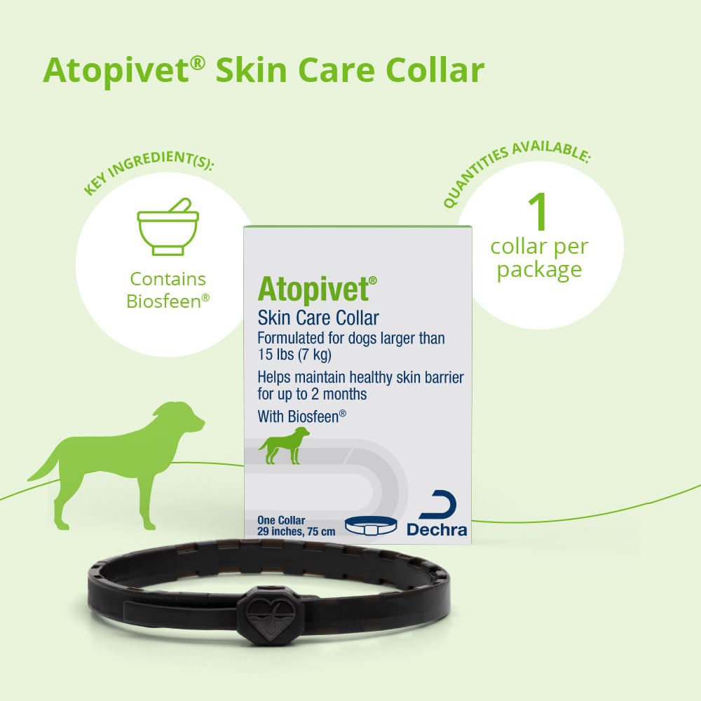 Dog Collar 29" A269
