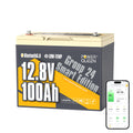 12V 100Ah LiFePO4 Lithium Battery R296