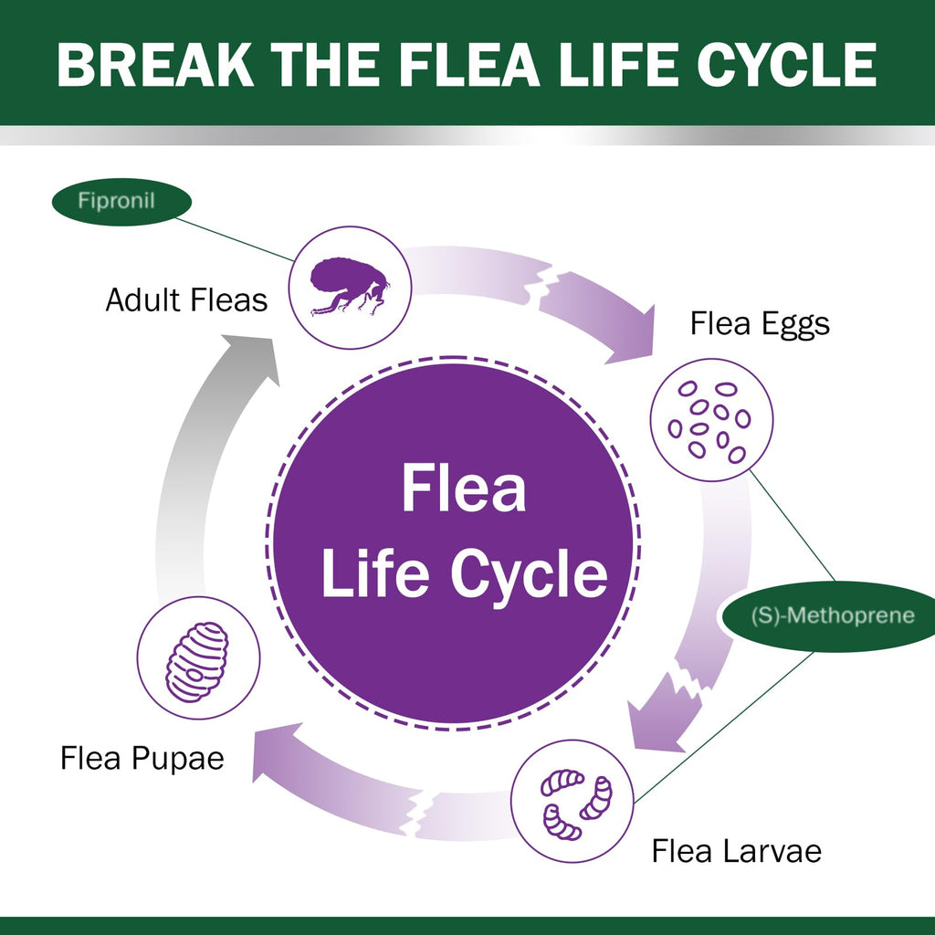 Flea and Tick Prevention for Cats Over 1.5 lbs Q714310