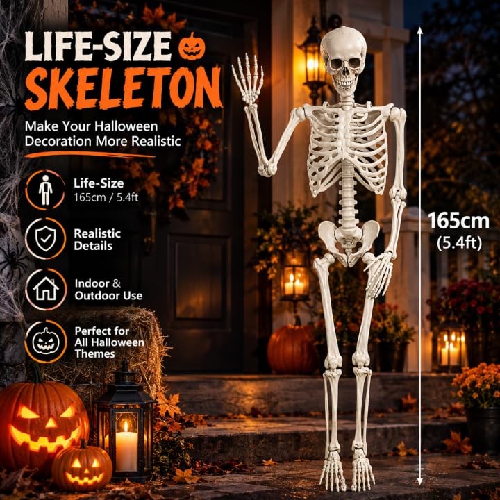 5.4FT Poseable Skeleton with Flexible Joints E8185