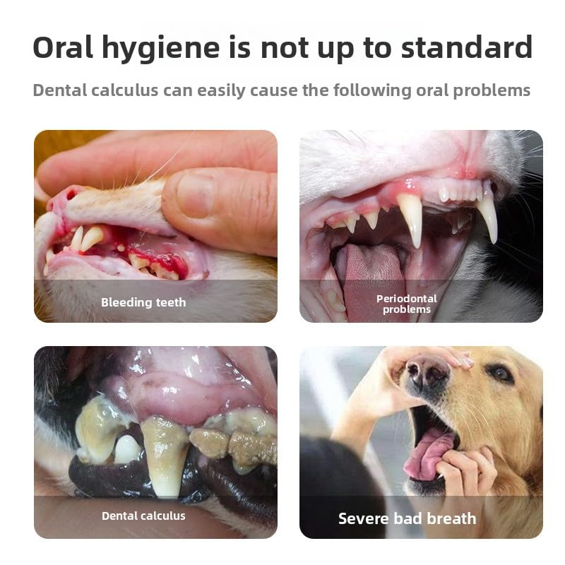 Pet Teeth Cleaning Pen 2-Pack Twist-Up Toothbrush Gel Kits with 45-Degree Soft Brush Head S879194