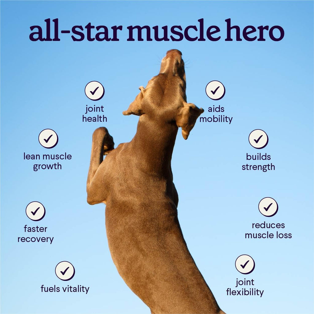 Dog Mobility & Strength Supplement 3.17 oz K96416