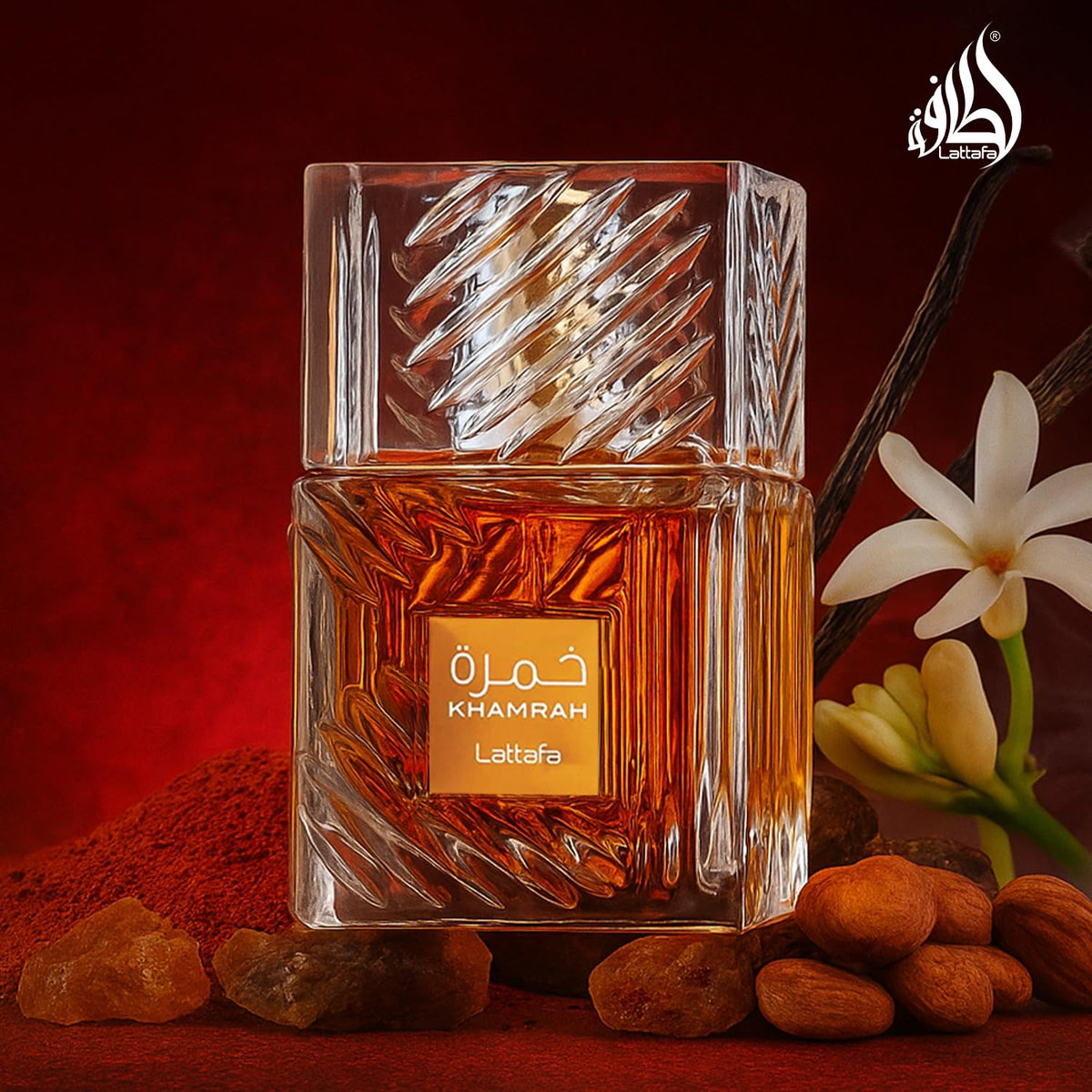 Vanilla Warm Spicy Amber Cinnamon Eau de Parfum 3.40 Ounce / 100 ml C13739