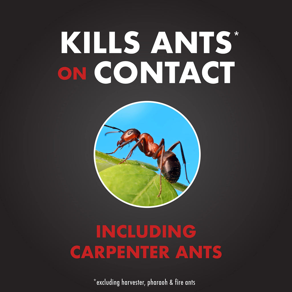 Ant Shield Insect Killer Aerosol 15 Oz E660795