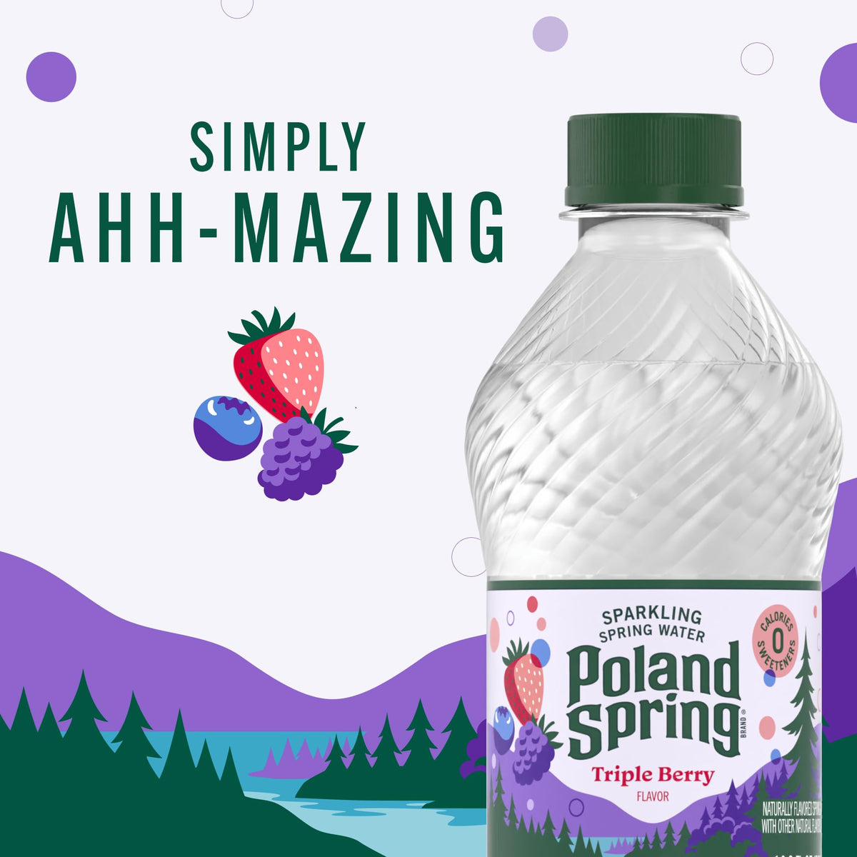 Sparkling Bottled Water 33.8 Fl Oz Z933397