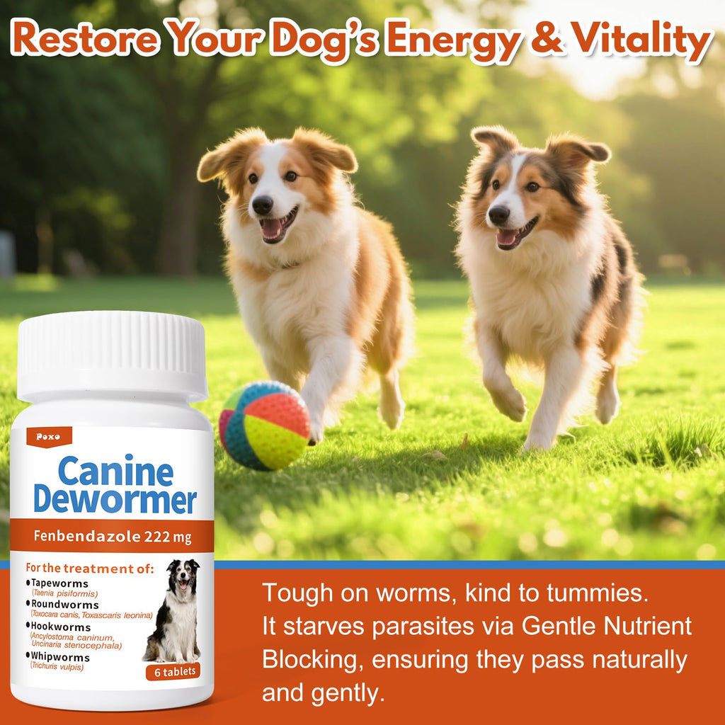 Fenbendazole Tablets for Dogs 6 Tablets I17076