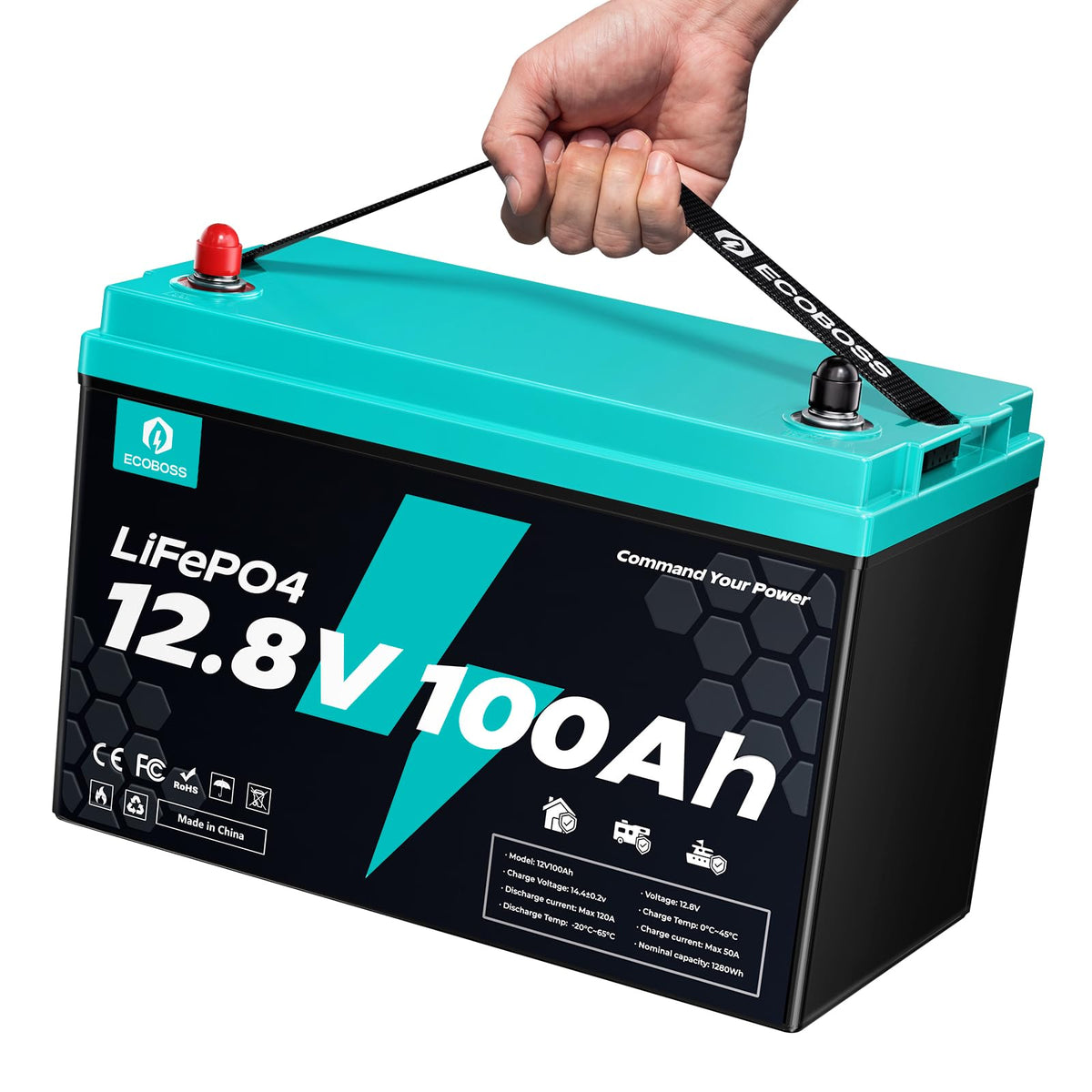 12V 100Ah LiFePO4 Battery Group 31 I9090