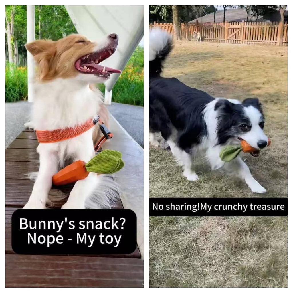 Rubber Squeaky Dog Chew Toys O509909