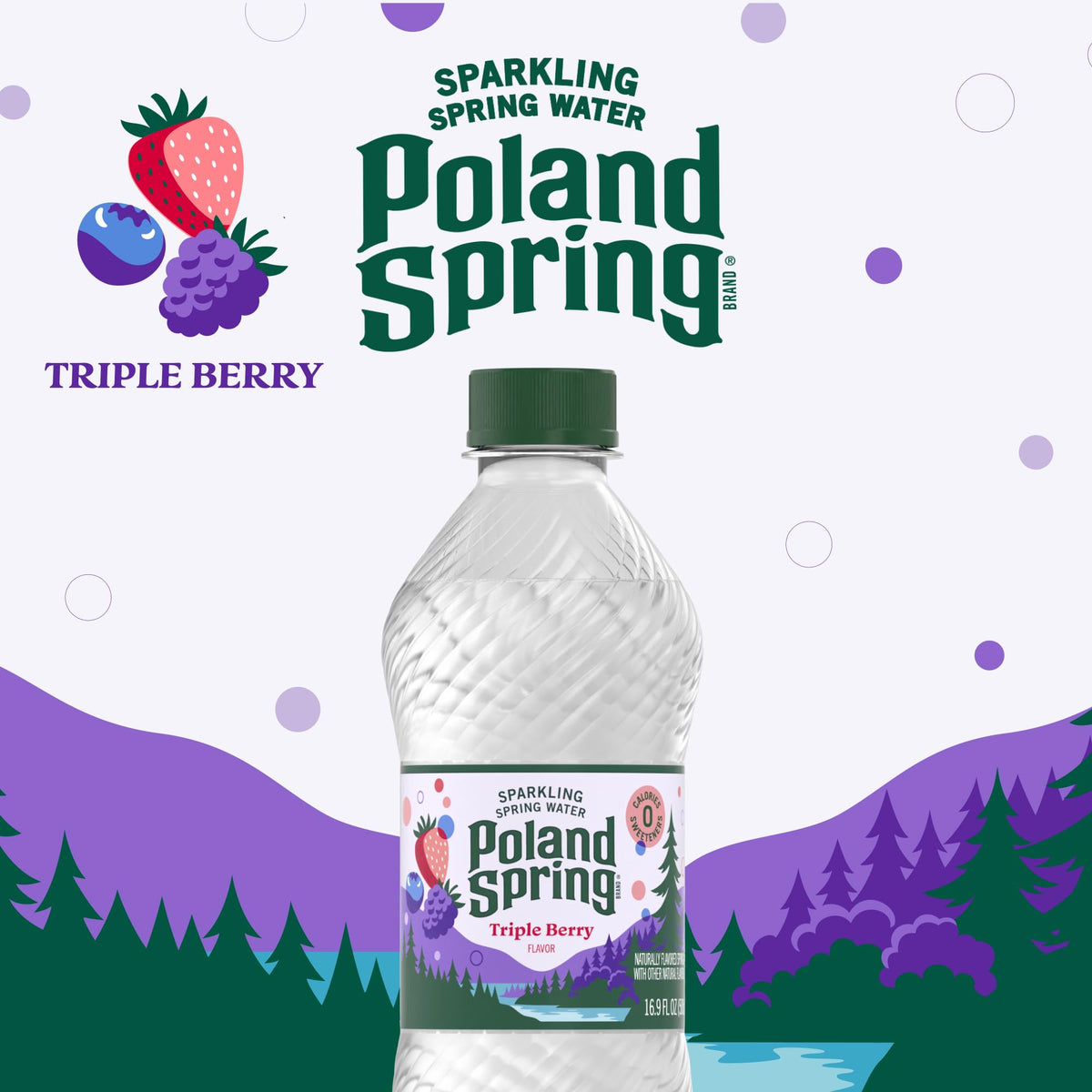 Sparkling Bottled Water 33.8 Fl Oz Z933397