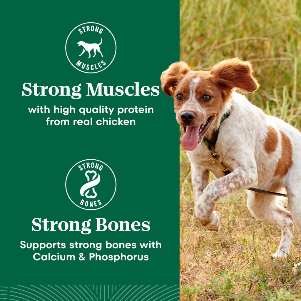 Chicken & Rice Small Breed Dry Dog Food 5 lb F7900