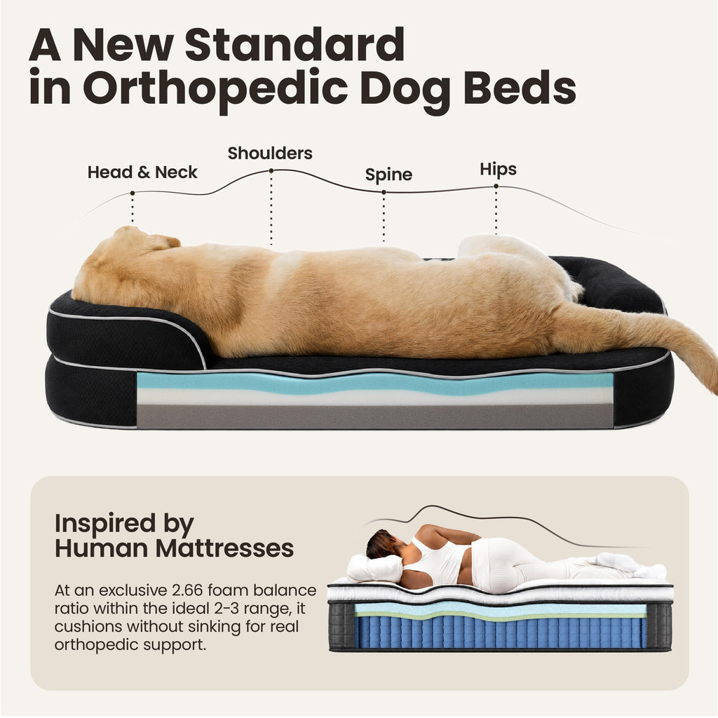 Black 42" Orthopedic Dog Beds F680