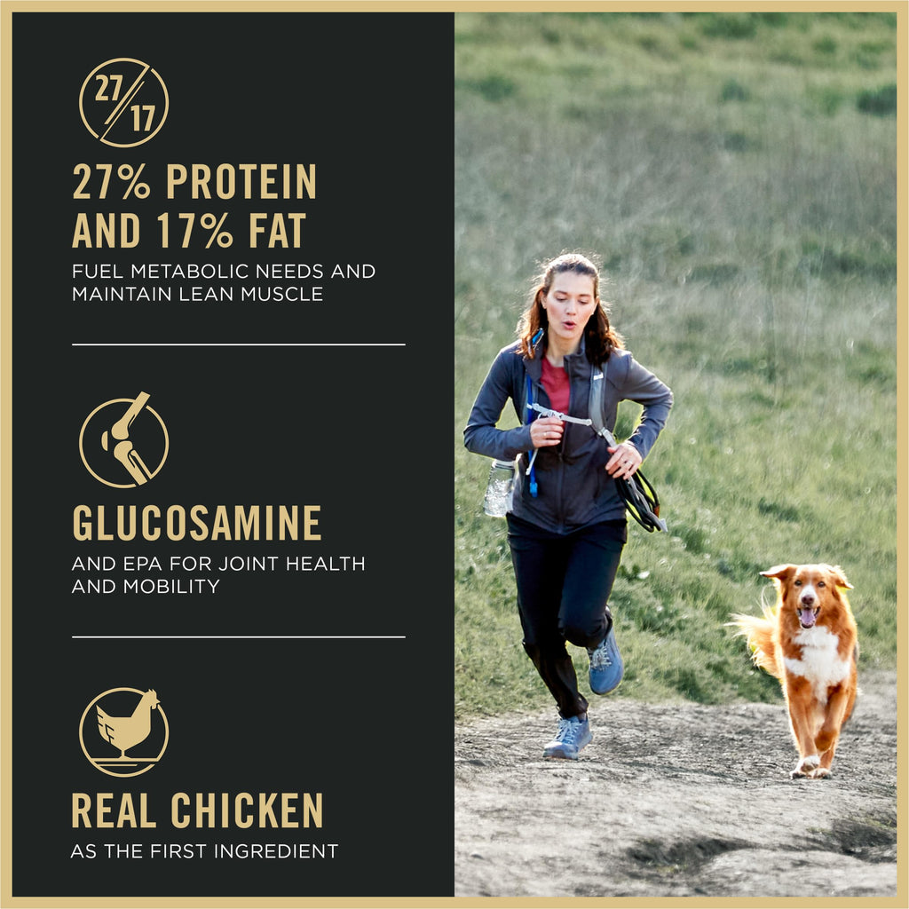 High Protein Chicken & Rice Dog Food 37.5 lb X134208