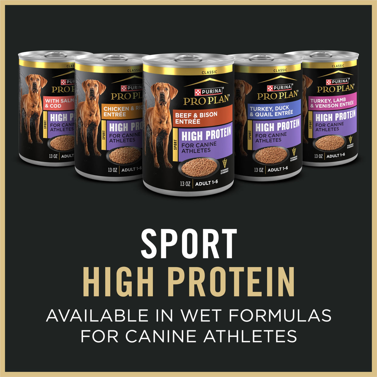 High Protein Chicken & Rice Dog Food 37.5 lb X134208
