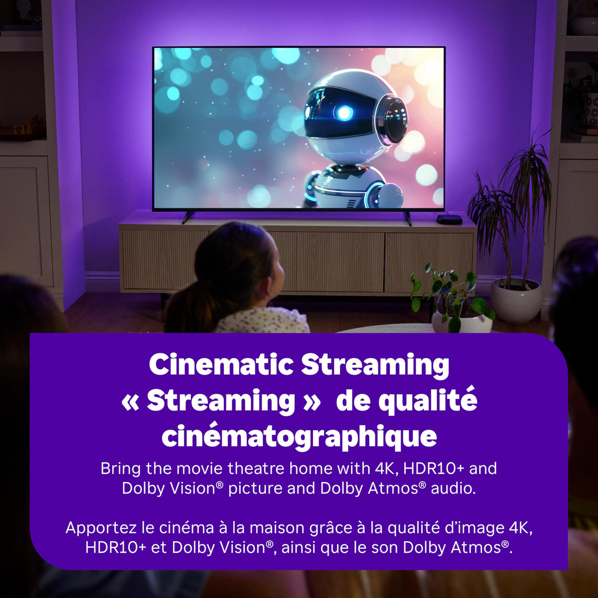 4K Streaming Device with HDR10+ K61442
