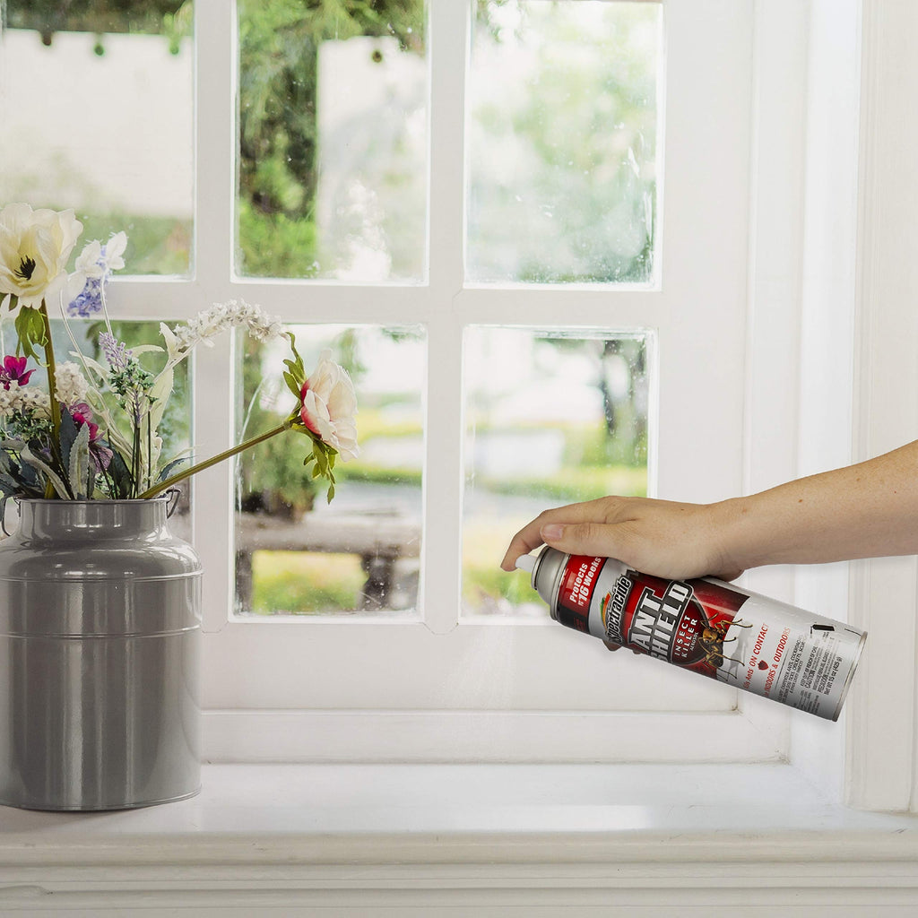Ant Shield Insect Killer Aerosol 15 Oz E660795