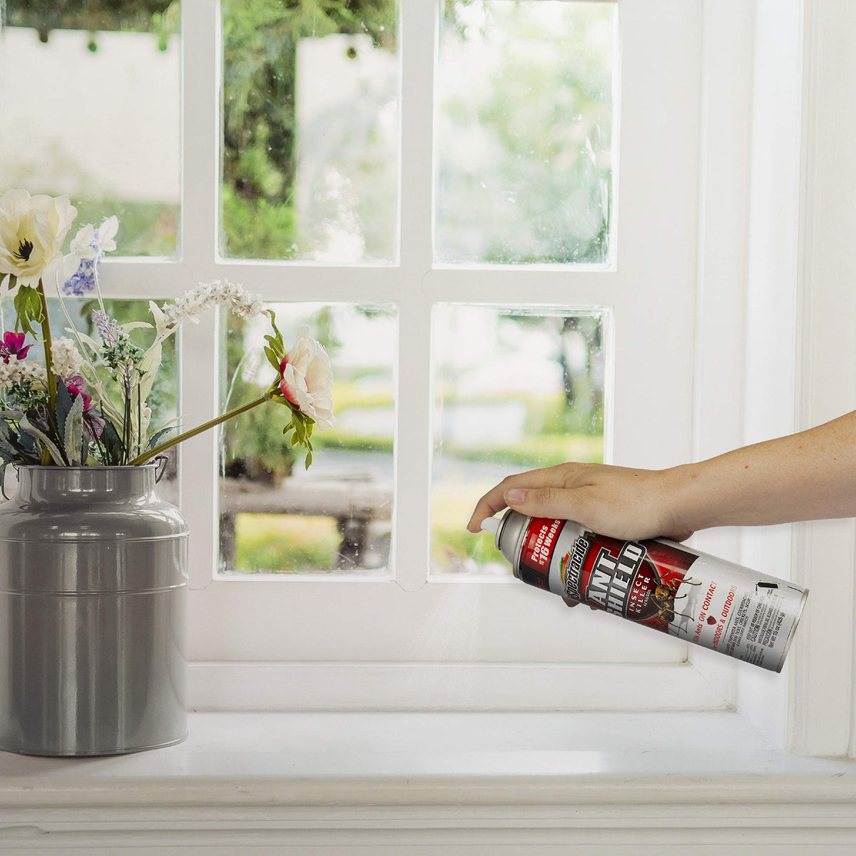 Ant Shield Insect Killer Aerosol 15 Oz E660795