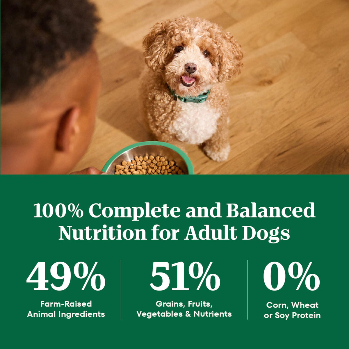 Chicken & Rice Small Breed Dry Dog Food 5 lb F7900