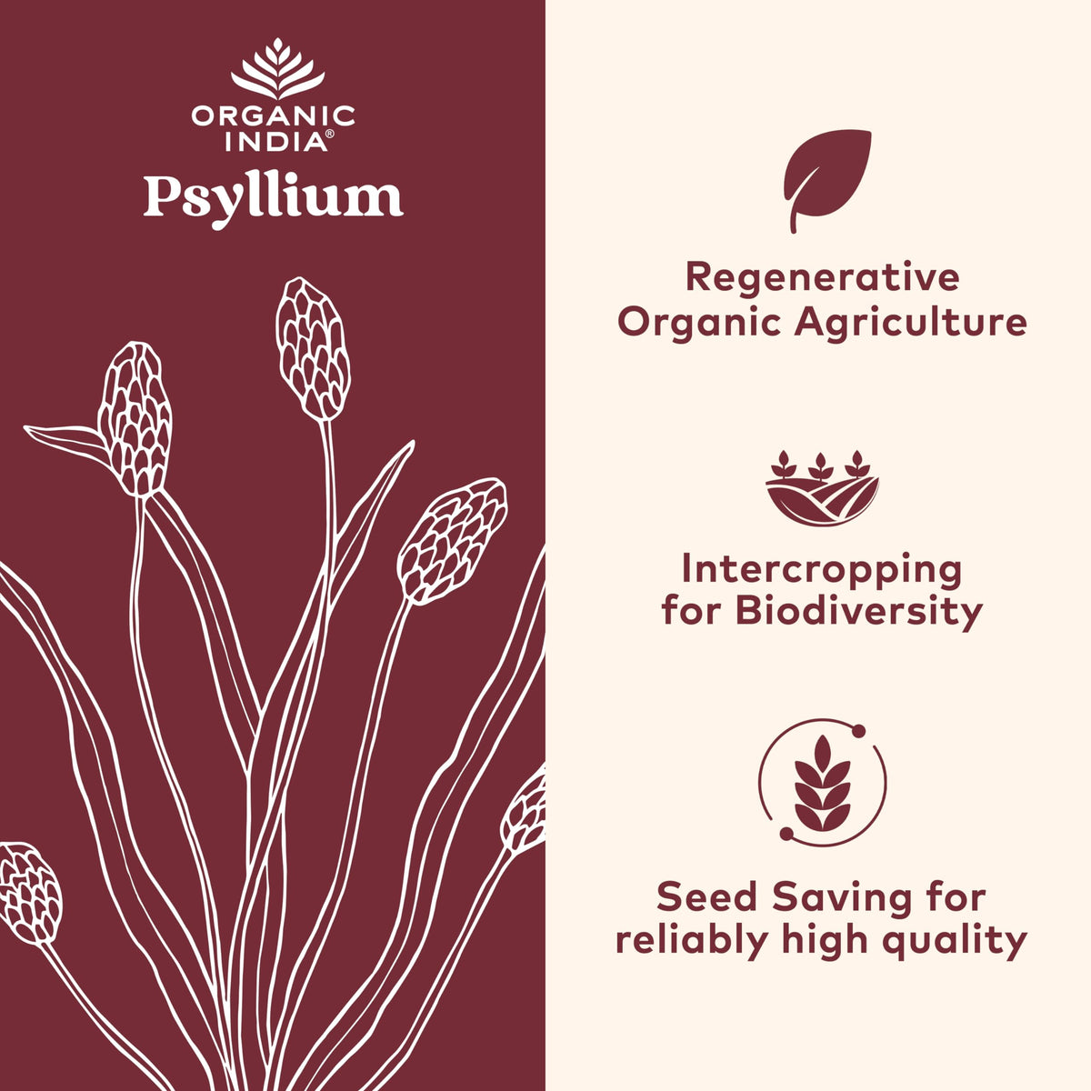 Psyllium Husk Capsules Fiber Supplement Vegan 180 Count O7708
