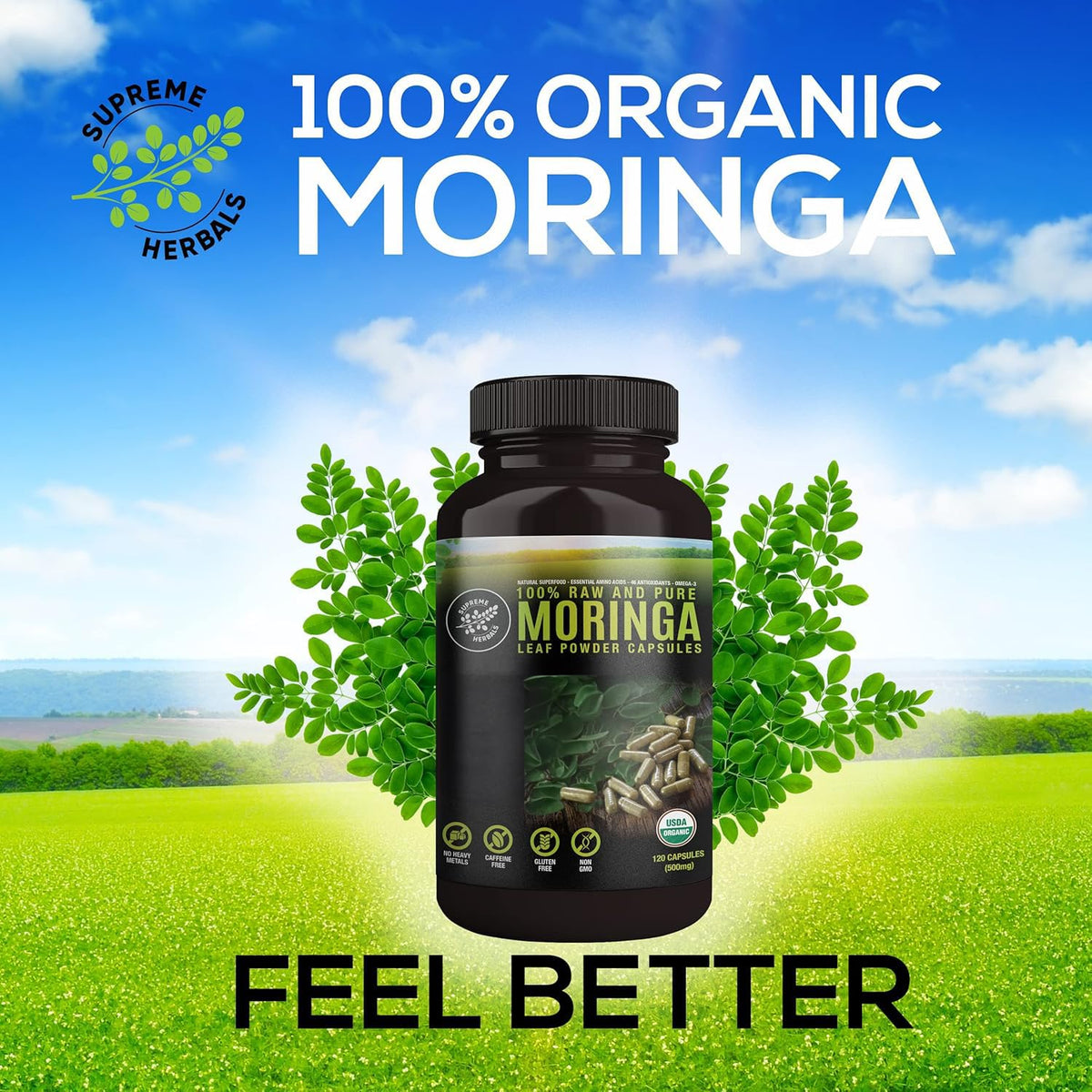 Organic Moringa Leaf Powder Capsules 500mg 120 Capsules O387