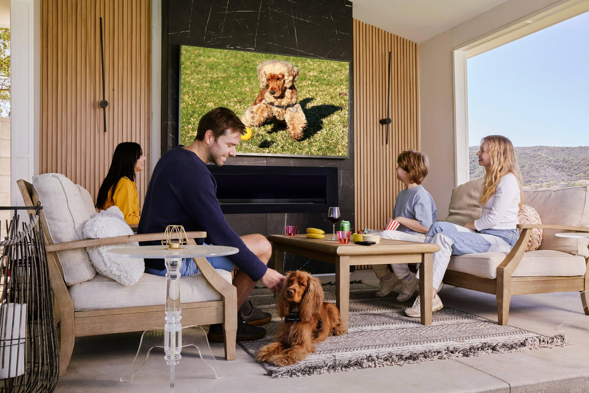 55" Smart Waterproof Outdoor TV Z6920