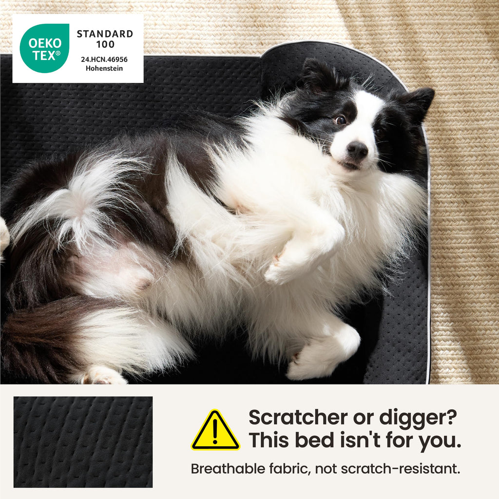 Black 42" Orthopedic Dog Beds F680