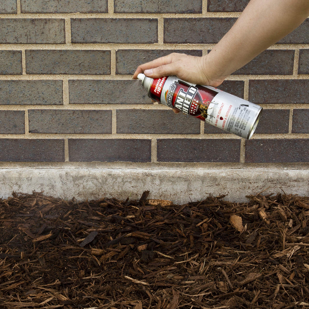 Ant Shield Insect Killer Aerosol 15 Oz E660795